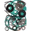 Winderosa Complete Gasket Set For Arctic Cat -Dainese Sales Store 0ec62843 6452 4303 9b4b 86de2fe57982 fs09 711319