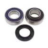 All Balls Drivetrain Bearing Kit