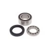 All Balls Drivetrain Bearing Kit -Dainese Sales Store 36858051 b921 494a a642 2a5f636cde5f 03 141011 master