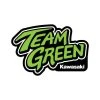 D’Cor Visuals D'COR Visuals Team Green Decal -Dainese Sales Store 6273812c 6f0a 4678 829c e89e50729dee 1923845105 2