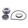Vertex Water Pump Rebuild Kit -Dainese Sales Store 6c26f0e3 94b2 4aef a902 7834f7ba0cb2 09 721247