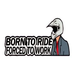 Royal Distributing Sticker Forced To Work