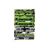 D’Cor Visuals D'COR Visuals Kawasaki Decal Sheet