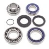 All Balls Drivetrain Bearing Kit
