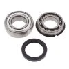 All Balls Chain Case Bearing And Seal Kit -Dainese Sales Store bab285fd 7b2f 485f bd19 29725fa5065c 03 141056